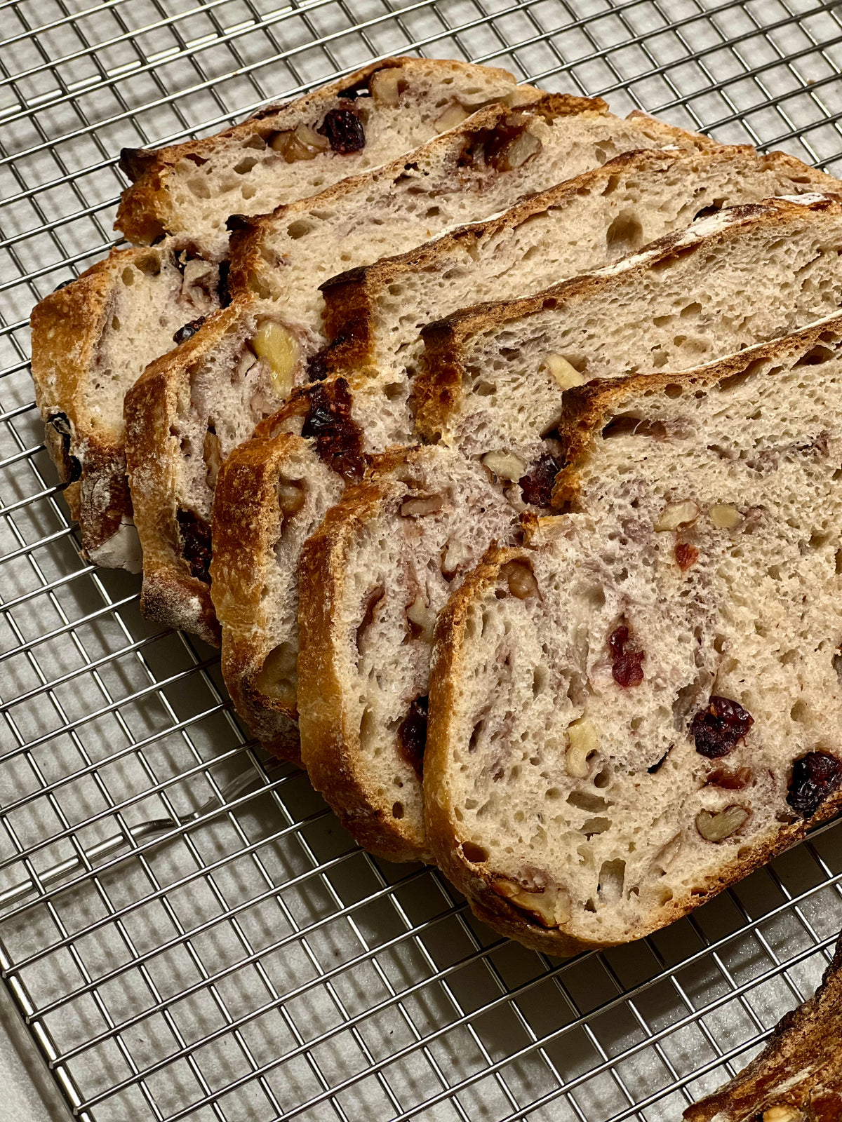 Walnut Cranberry Sourdough Bread